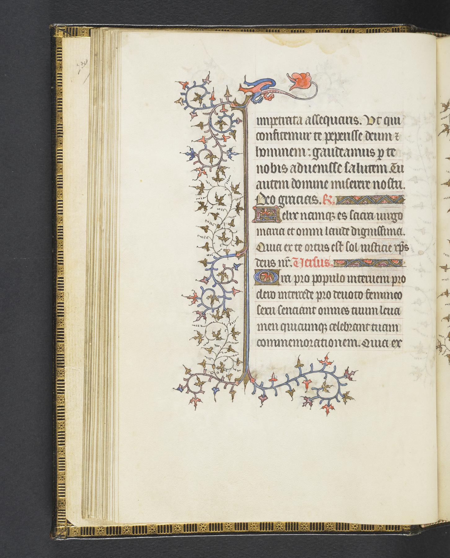 Coffee with a Codex: Book of Hours with Dragons