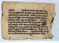 Judeo-Arabic treatise on terefah